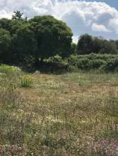 Vendita Monovano, Modica Vendita Monovano, Modica