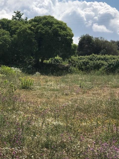 Vendita Monovano, Modica foto