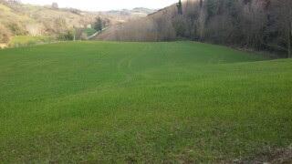 Vendita Monovano, Mondavio Vendita Monovano, Mondavio foto