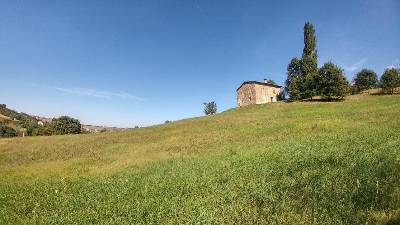 Vendita Esavani, Guiglia foto