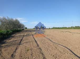 Vendita Terreno Agricolo, Savignano sul Rubicone Vendita Terreno Agricolo, Savignano sul Rubicone