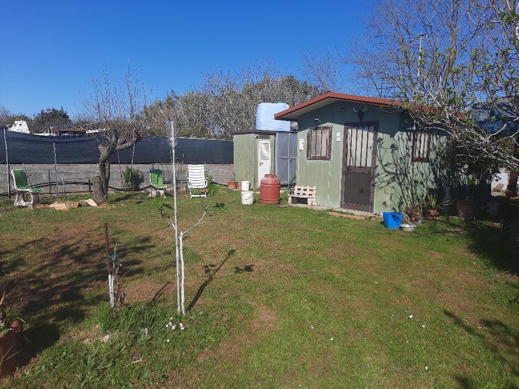 Vendita Terreno Agricolo, Collesalvetti Vendita Terreno Agricolo, Collesalvetti foto