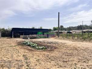 Vendita Terreno Agricolo, Comiso Vendita Terreno Agricolo, Comiso
