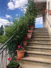Vendita Rustico / Casale, Asciano