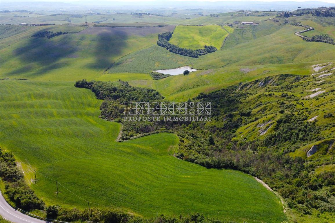 Vendita Terreno Agricolo, Asciano foto