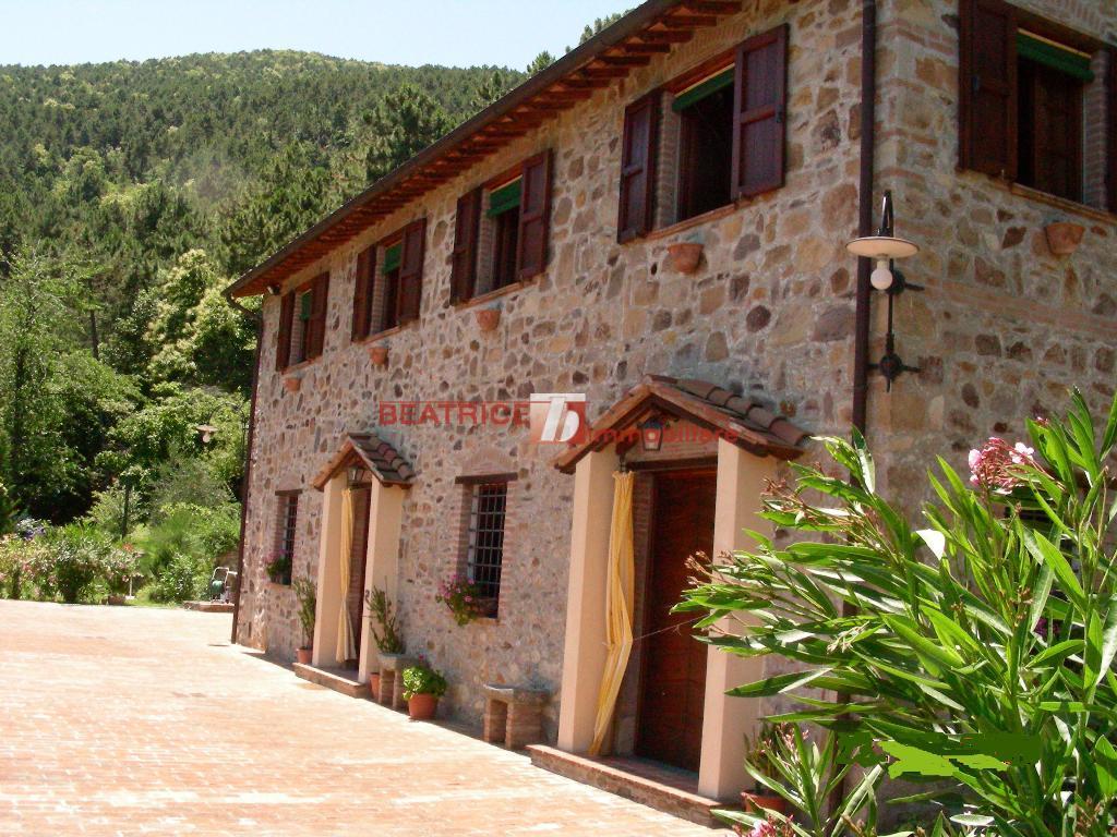 Vendita Rustico / Casale, Capannori foto