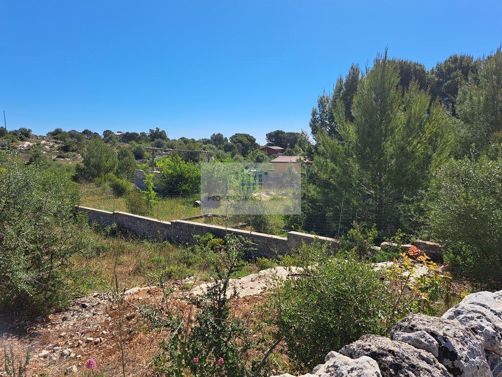 Vendita Terreno Agricolo, Noto foto