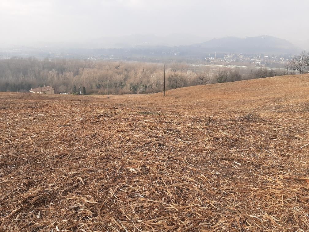 Vendita Terreno Agricolo, Bologna Vendita Terreno Agricolo, Bologna foto