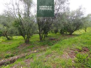 Vendita Terreno Agricolo, Bolano