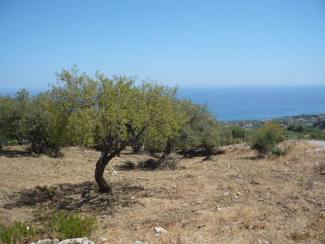 Vendita Terreno Residenziale, Termini Imerese foto