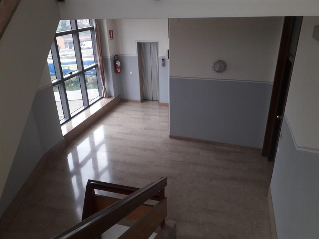 Vendita Appartamento, Conegliano foto