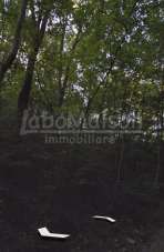 Vendita Terreno Agricolo, Gemonio