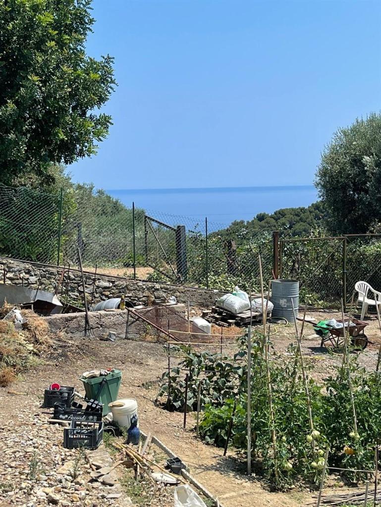 Vendita Terreno Residenziale, Alassio foto