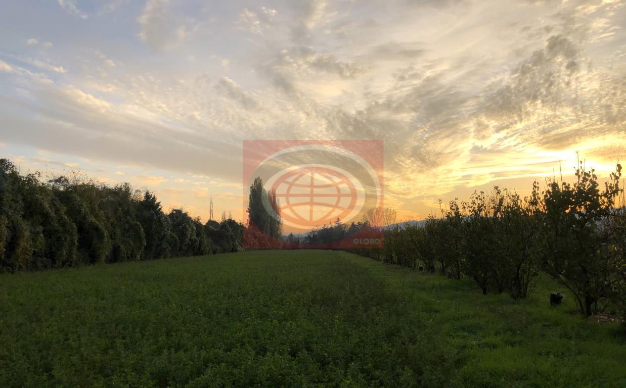 Vendita Casa Indipendente, Cesena foto