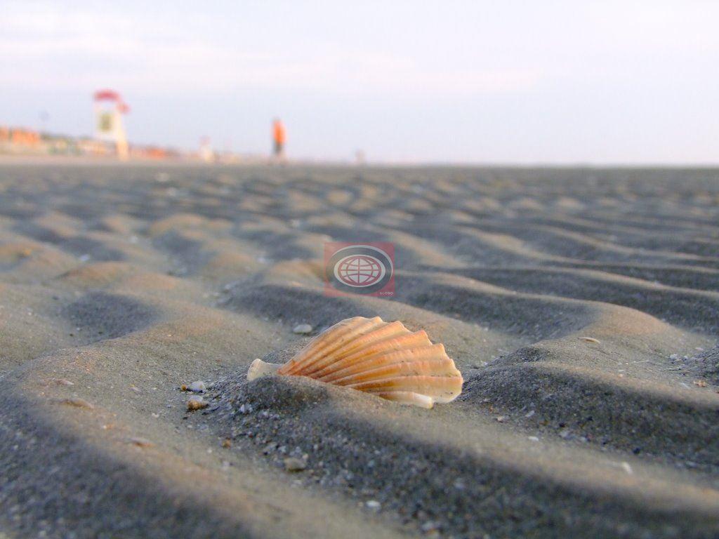 Vendita Terreno Residenziale, Cervia foto