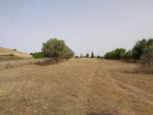 Vendita Rustico / Casale