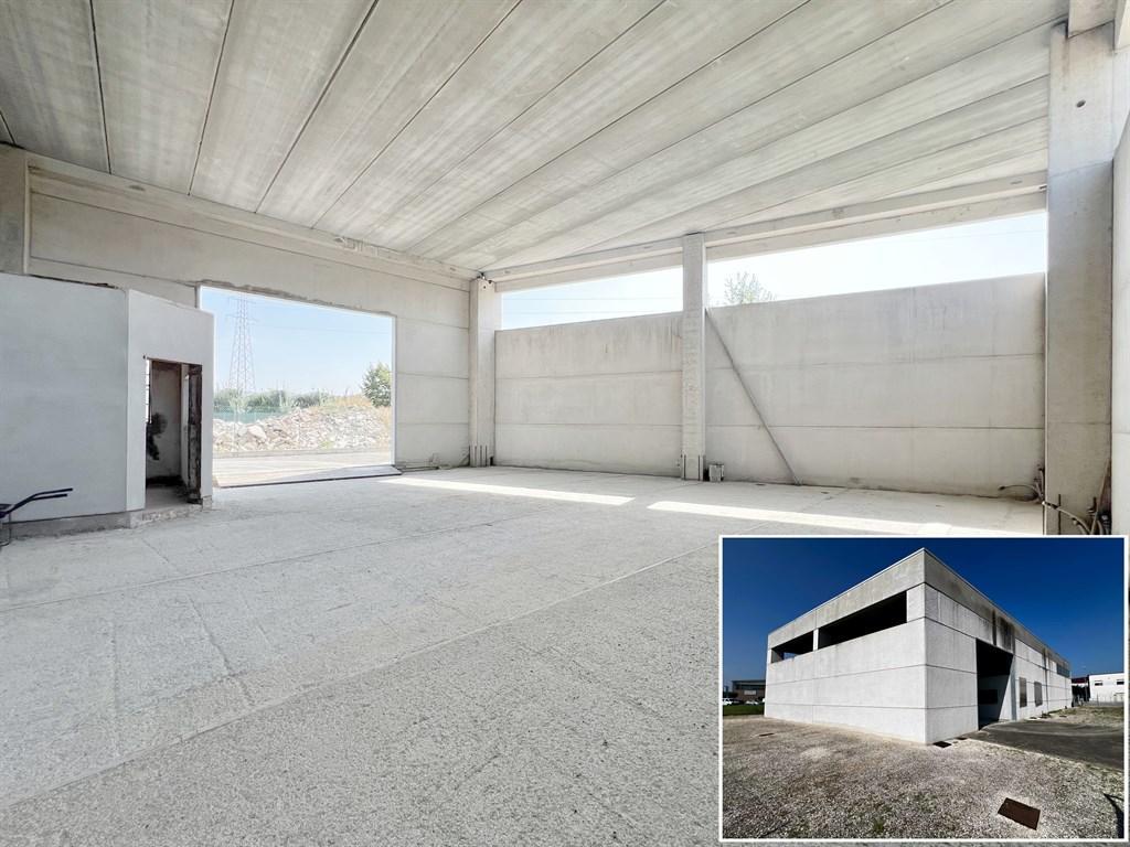 Vendita Capannone, Alfonsine foto