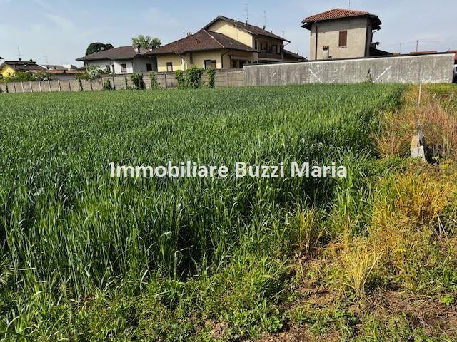 Vendita Terreno Residenziale, Robecchetto con Induno Vendita Terreno Residenziale, Robecchetto con Induno foto