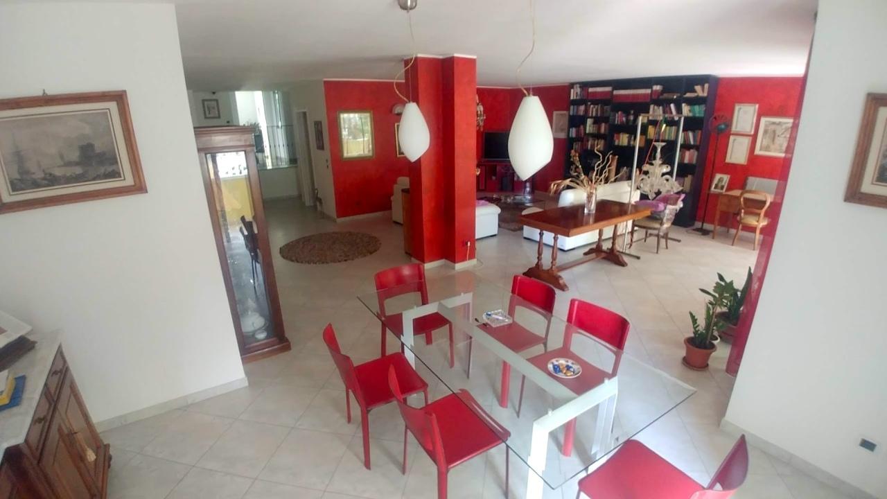 Vendita Multivani, Roseto degli Abruzzi foto