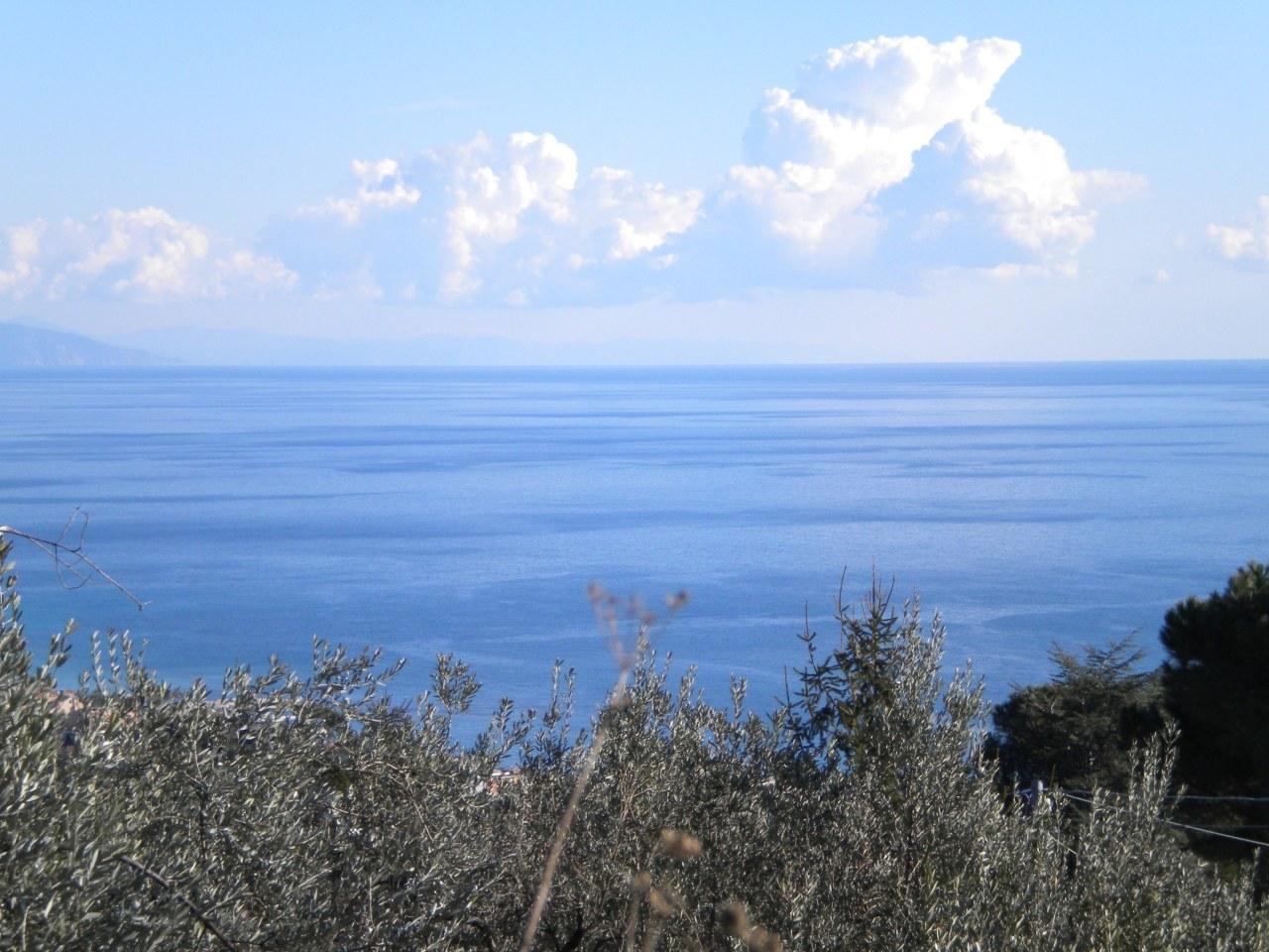 Vendita Esavani, Varazze foto