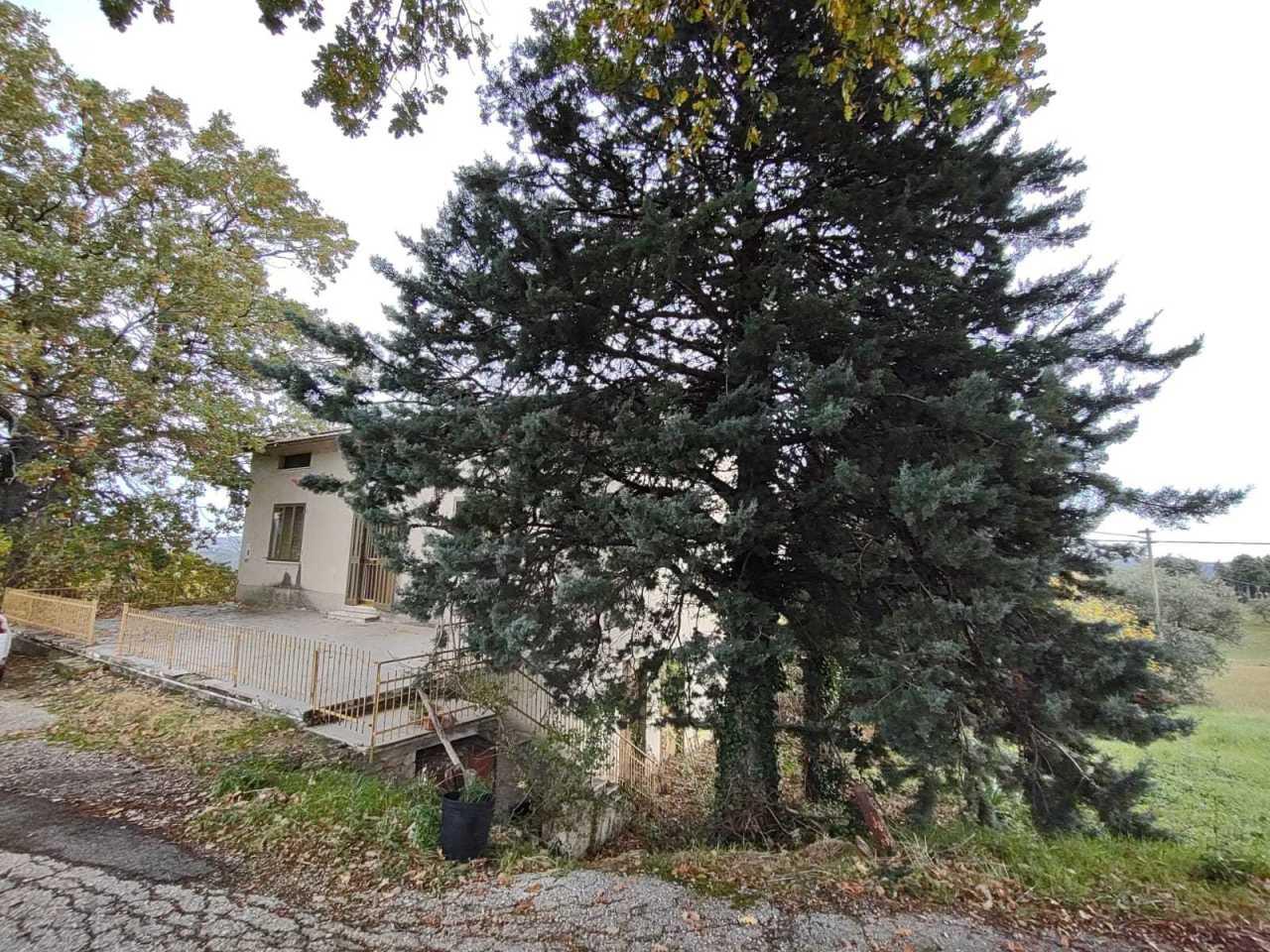 Vendita Case, Serra San Quirico foto