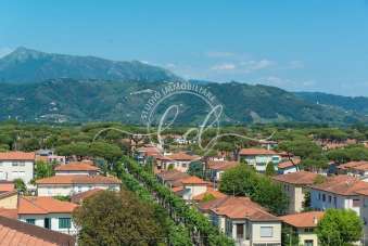 Affitto Bivani, Camaiore Affitto Bivani, Camaiore