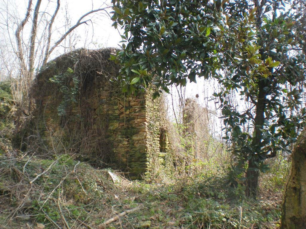 Vendita Pentavani, Pietrasanta foto