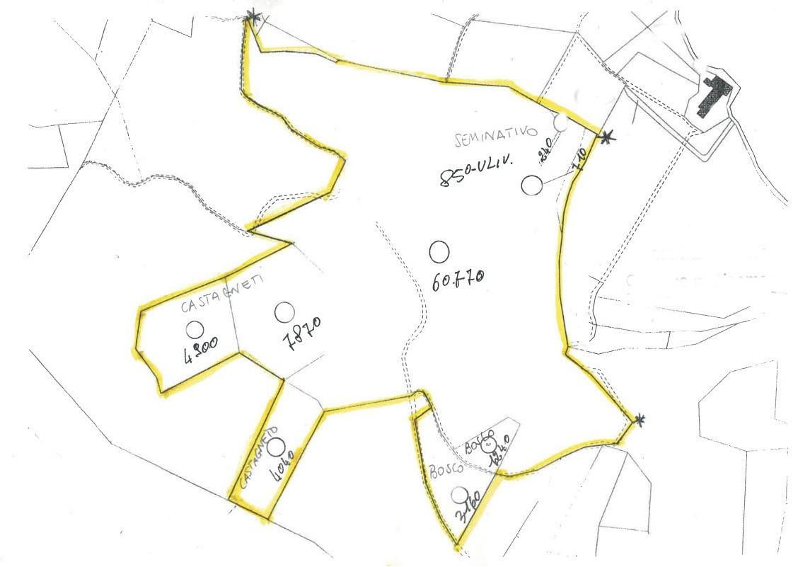 Vendita Terreni, Dicomano foto