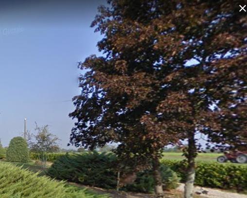 Vendita Multivani, Borgonovo Val Tidone Vendita Multivani, Borgonovo Val Tidone foto