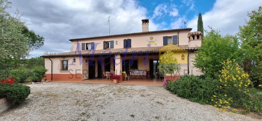 Vendita Eptavani, Cesena foto