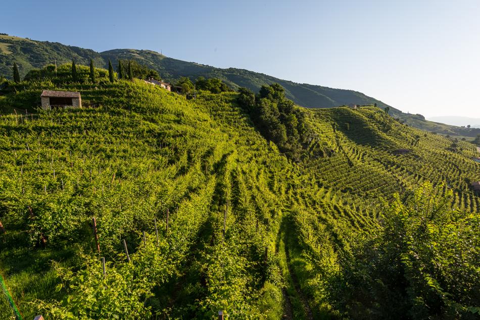 Vendita Multivani, Castelnuovo Magra foto