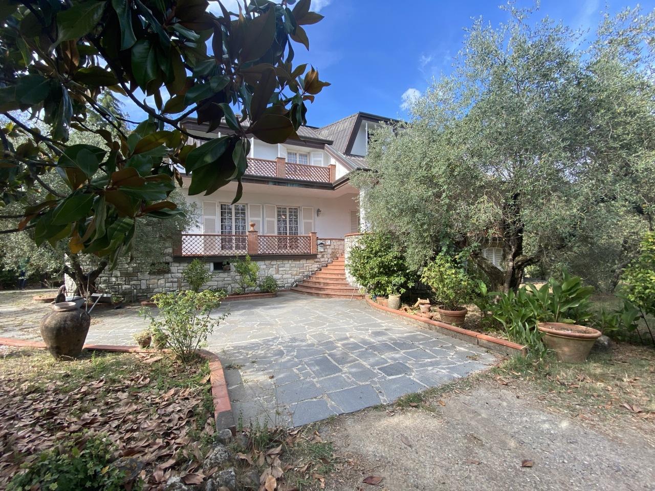 Vendita Multivani, Castelnuovo Magra foto