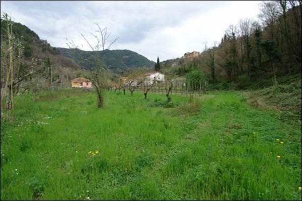 Vendita Terreni, Fosdinovo Vendita Terreni, Fosdinovo foto