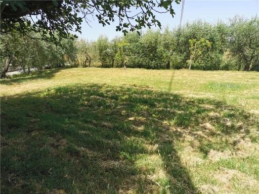 Vendita TERRATETTO, San Miniato Vendita TERRATETTO, San Miniato foto