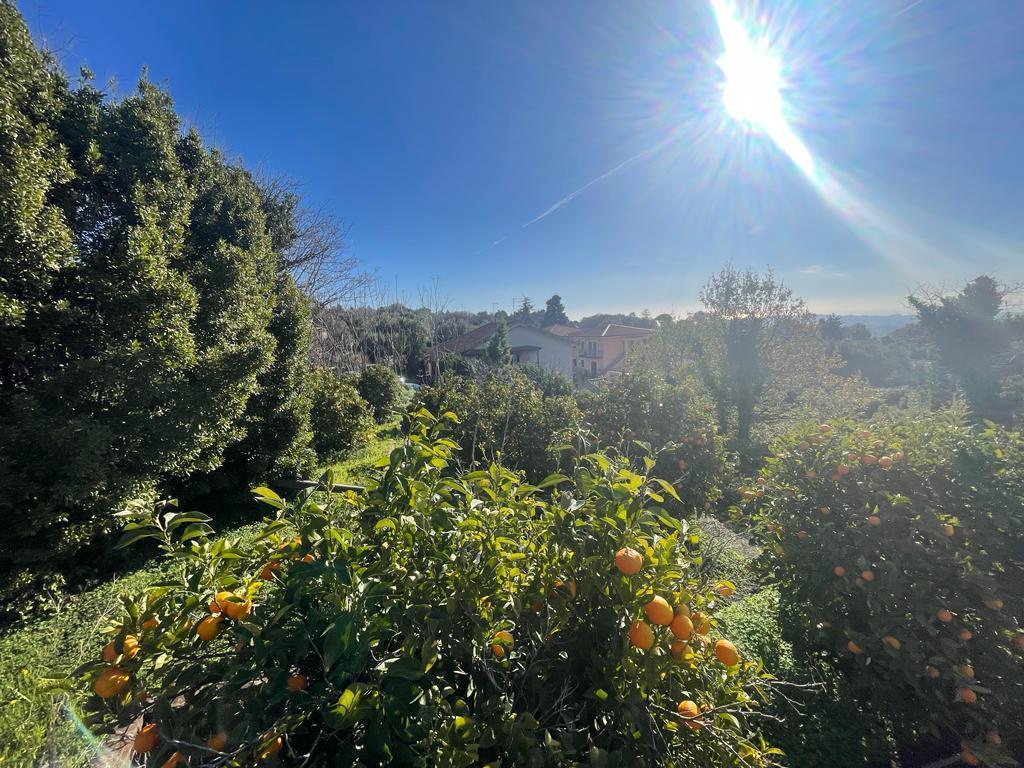 Vendita Case, Trecastagni Vendita Case, Trecastagni foto