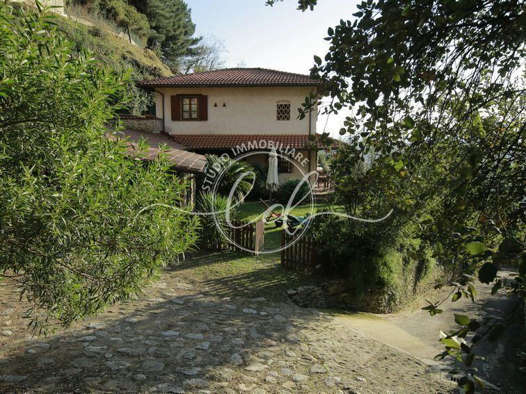 Affitto Esavani, Pietrasanta Affitto Esavani, Pietrasanta foto