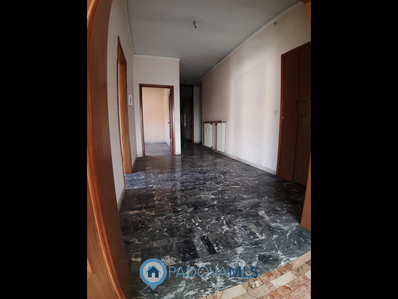 Vendita Multivani, Monselice foto