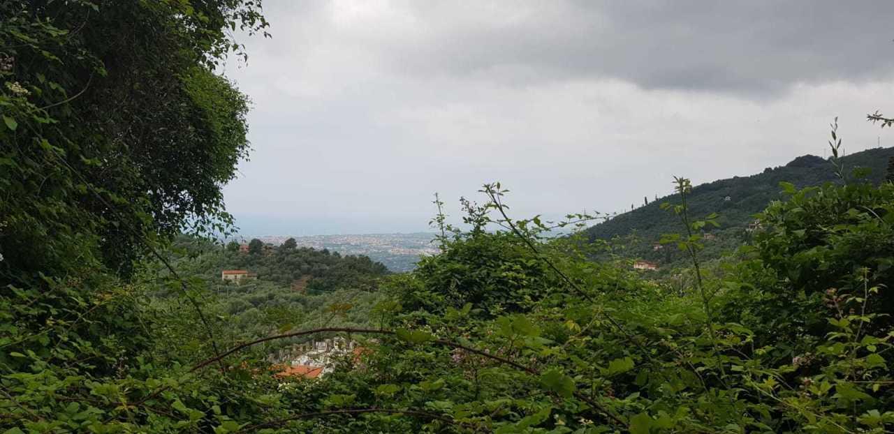Vendita Terreni, Pietrasanta Vendita Terreni, Pietrasanta foto