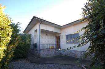 Vendita Esavani, Pietrasanta