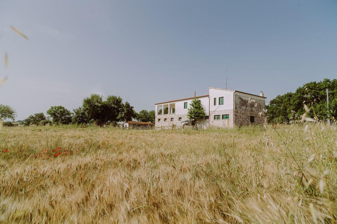 Vendita Case, Treia Vendita Case, Treia foto