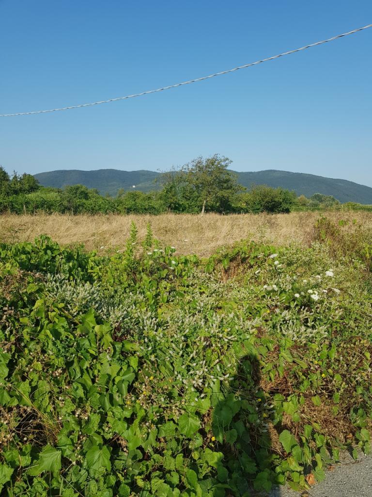 Vendita Case, Sarzana Vendita Case, Sarzana foto