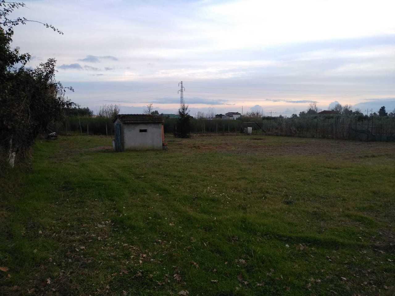 Vendita Terreni, Massarosa Vendita Terreni, Massarosa foto