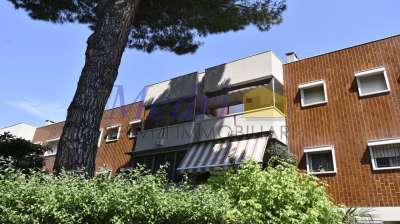 Vendita Pentavani, Cesena Vendita Pentavani, Cesena