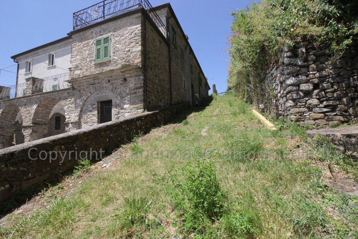 Vendita Trivani, Calice al Cornoviglio Vendita Trivani, Calice al Cornoviglio foto