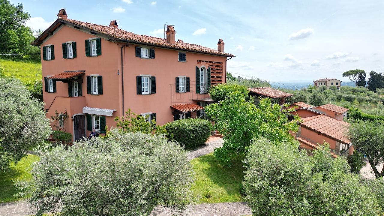 Vendita Multivani, Lucca Vendita Multivani, Lucca foto