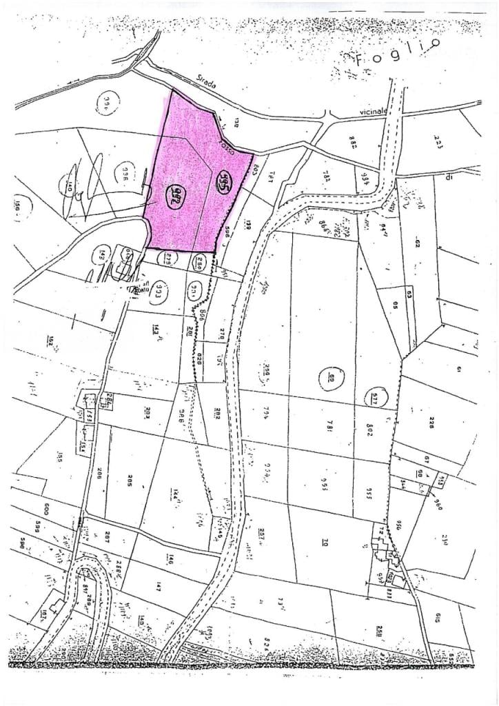 Vendita Monovano, Monsampolo del Tronto foto