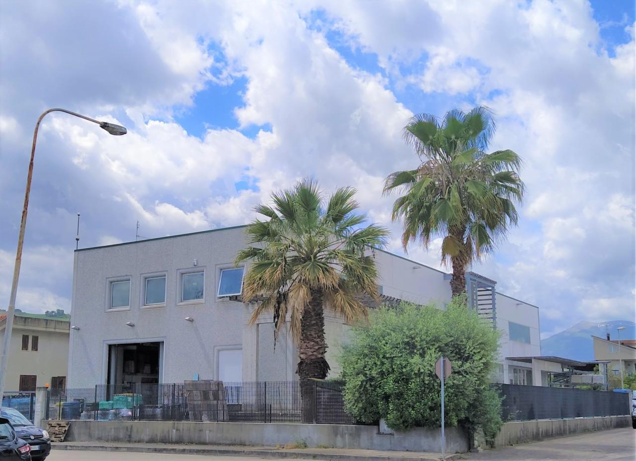 Vendita Capannone , Spinetoli Vendita Capannone , Spinetoli foto