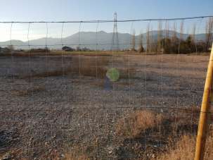 Vendita Terreni, Calcinaia