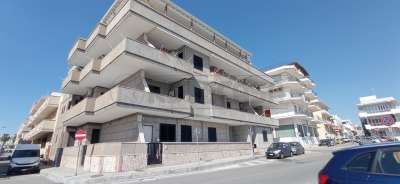 Vendita Esavani, Gallipoli