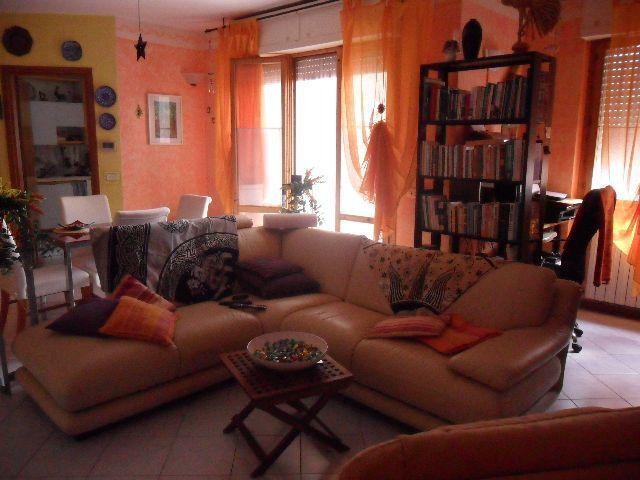 Vendita Quadrivani, Aulla Vendita Quadrivani, Aulla foto